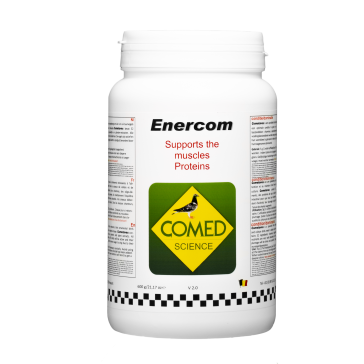 Enercom   (600g)  BR30019  (2 Btl)