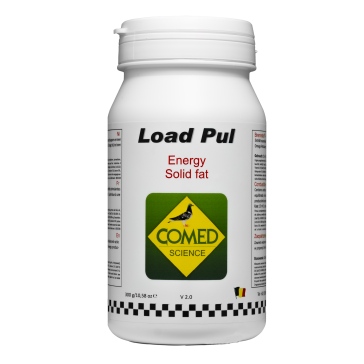 Load Pul   (300g)  BR30029  (1 Btl)