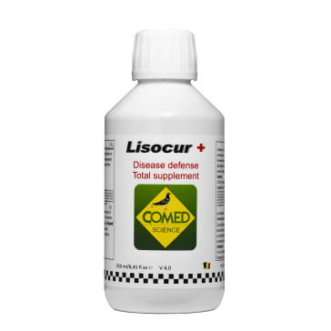 Lisocur + Pigeon (250ml)  BR30031