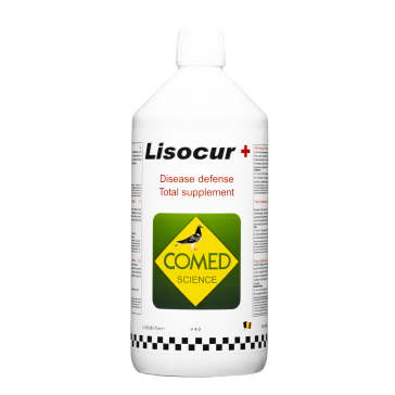 Lisocur +   Pigeon (1L)  BR30033