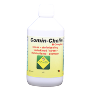 Comin-Cholin B- Complex Bird  (500ml)  BR40009