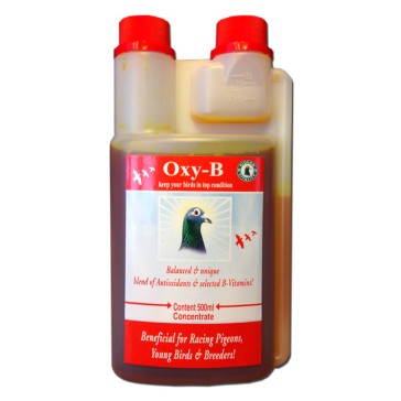 Oxy-B Liquide (500ml) BR30068 (1 Btl)